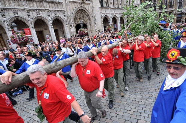 Meyboom folklore tradition in Brussels