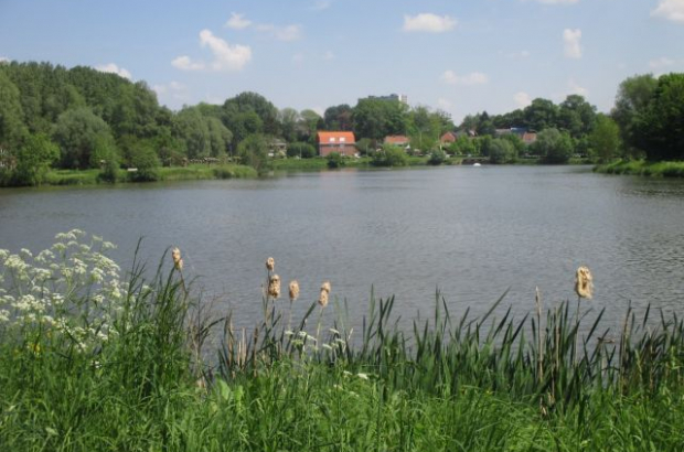 Neerpede pond, Anderlecht commune