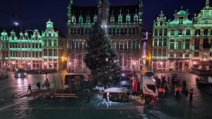 Brussels Grand Place Christmas Tree Winter Wonders