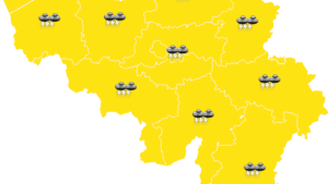Thundery showers forecast in Belgium on Thursday - IRM