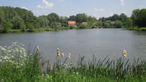 Neerpede pond, Anderlecht commune