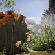 Belgium experiencing drought conditions in many areas 2025 - Belga image