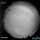 An image of the meteorite over Brussels taken from one of the cameras of the Fireball Recovery and Interplanetary Observation Network (FRIPON) (©Vigie-Ciel / Institut Royal d’Aéronomie Spatiale de Belgique)