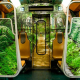 The STIB train featuring designs based on the Royal Greenhouses at Laeken (© STIB/MVIB)
