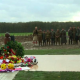 World War Christmas Truce memorial