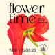 Flowertime in Brussels from 11 to 15 August 2023