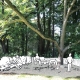 ULB fruit tree project